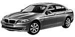 BMW F10 P209E Fault Code